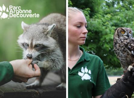 Parc Argonne Découverte : à la rencontre de la nature