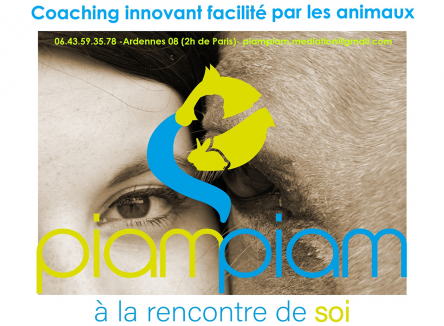 Piam-Piam : les animaux accompagnent le développement personnel