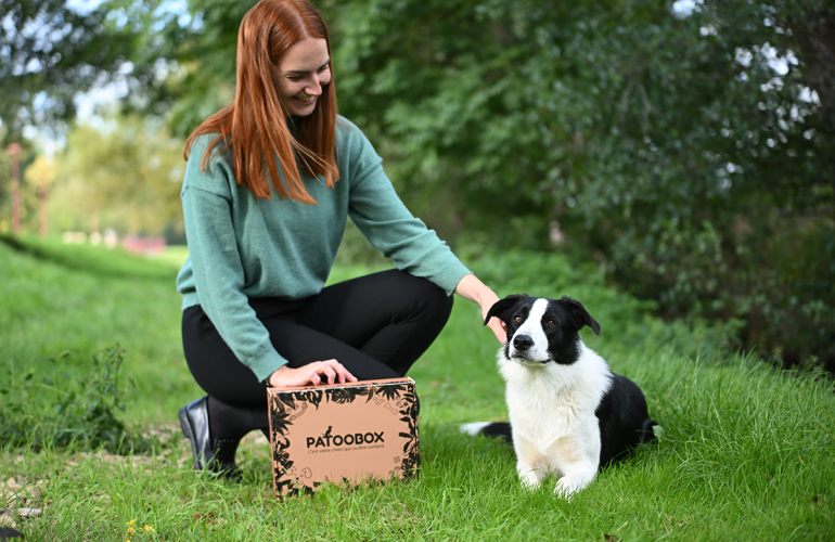 Matoobox & Patoobox : un concept enrichi pour le bonheur de nos animaux de compagnie